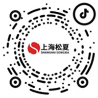 上海JJ视频app减震器有限公司官方抖音